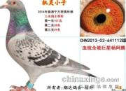 ������������� ���������(ͼ)