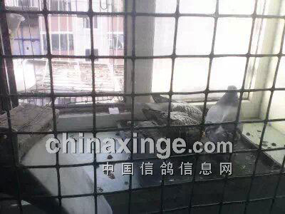 ���벻�ף�ϴ�ּ��ｨ����(ͼ)