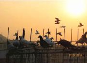 ��������������(ͼ)