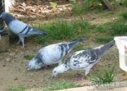 �������ڼǣ�ɢ����Ҳ�ܽ���(��)