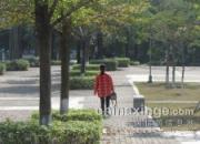 ���޹乫԰����������˸�����(ͼ)