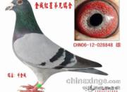 һ·�������ˡ�����Ƶ��(ͼ)