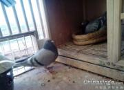 ���������ҳ��� �������75��(ͼ)