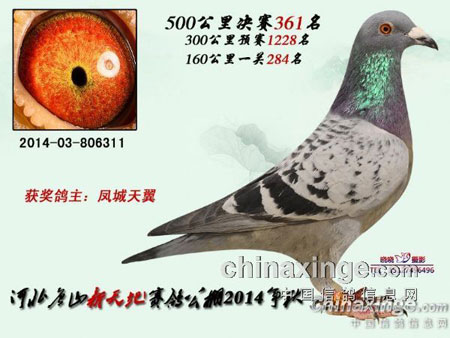 ���������㣺�������8��(ͼ)