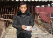 ��������480�����������ʳ��ι��(ͼ)