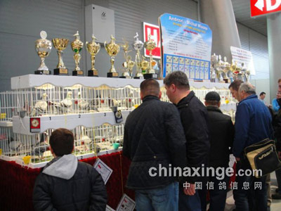 ���۽磺2015�겨��Keilce���ʸ�չ�ֳ�(ͼ)