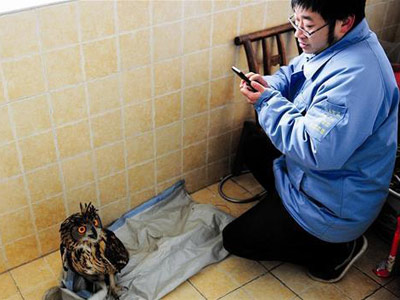 ˲60׸èͷӥҧŸ(ͼ)