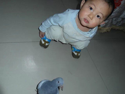 ��ͥϲ�磺С��������(ͼ)