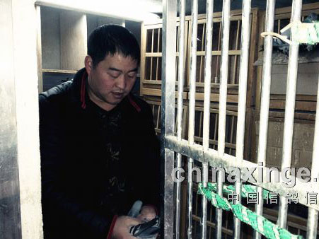 С�سǸ���ְҵ��룺����Ѫ����(ͼ)