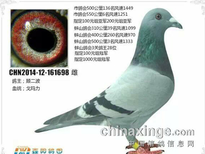 ��ս�˶������������� ��ָ�ش�(ͼ)