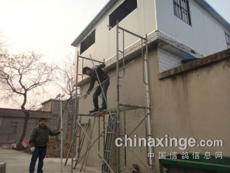 ����������죺��������ס(ͼ)