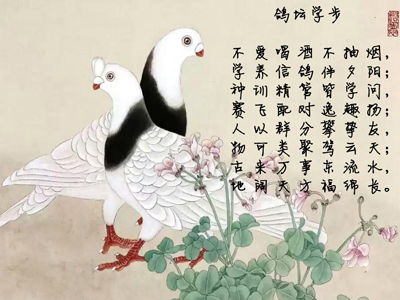 �����ҰѸ��Ӵ����п�����(ͼ)