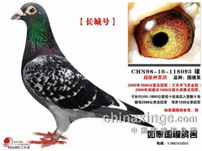 ��ģ���᣺�׿��Ż�֮�� �Ŷ�ھ�(ͼ)