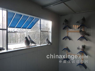 ��սһ���ڣ�����ס������(ͼ)