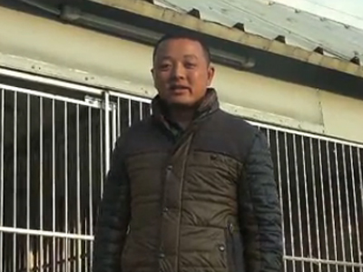 ��Ƶ�����Ϸ��ǰ�ǧ�����Ӯ��