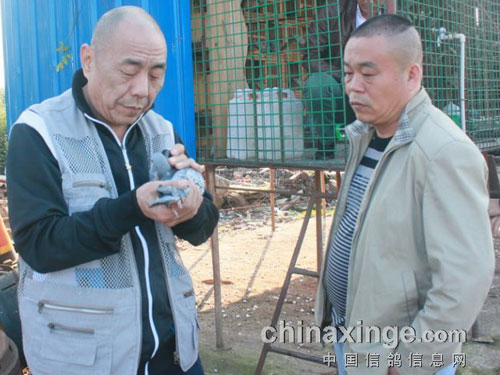 �������ٳ����ĺ��Ϲ�Ӣ������(ͼ)