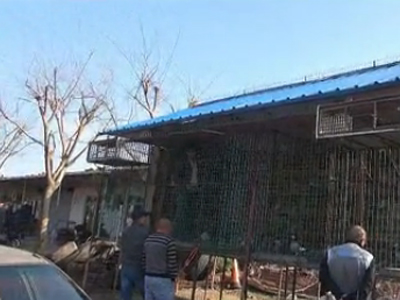 ��Ƶ���������ҹ�Ӣ������