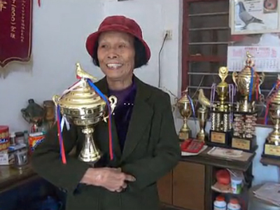 ��Ƶ������77�������������(��)