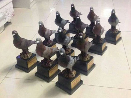 �����ʧ�������������ս(ͼ)