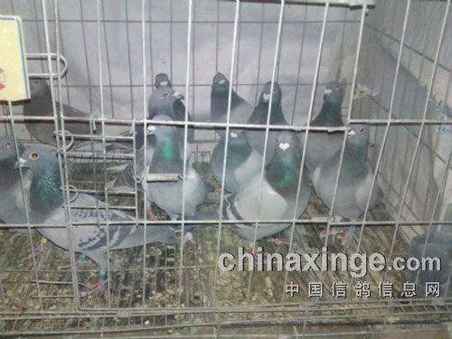 ���ܡ��룺���˻��۱��˻�(ͼ)