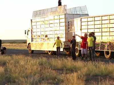 �Ϸǹ��������ǰ�������Ƚ���Сʱ(ͼ)