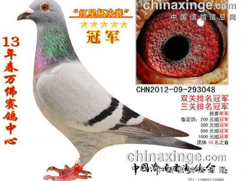 �ɼ��»������� ����Ԯ�����ָ�(ͼ)