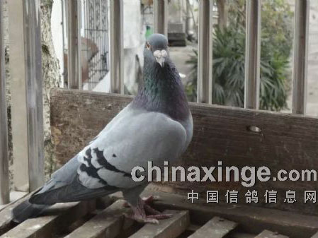 �������ġ��Ϲ�����(ͼ)