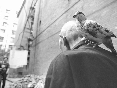 �Һ͸�����ʮ��ķ�������·(��)