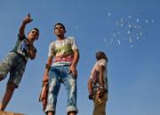 ̽Ѱ���������ˣ�һƬ���龻��(ͼ)