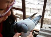 �����µ����ȼ�ǿ��(ͼ)