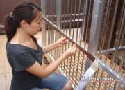 �������ѣ�����׬����Ǯ�ͳ�