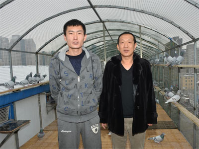 ר�ã������İİɸ��ᳵ��������(ͼ)