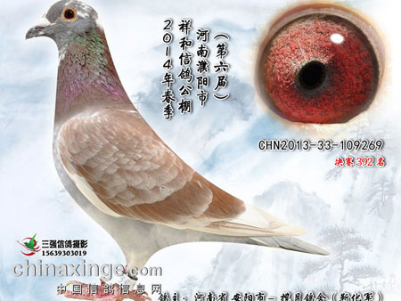 ��ɱ������Ӣ����Ȼ��̭32��(ͼ)