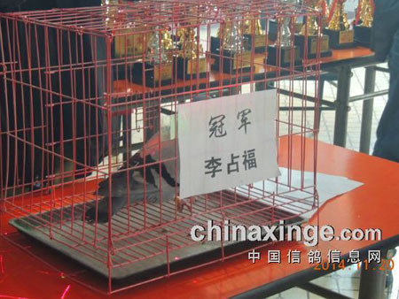 ײ�˻Ҹ��� �ջ��һ������(ͼ)