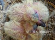 ǧ���ߵ��һ��������ǧ��(ͼ)