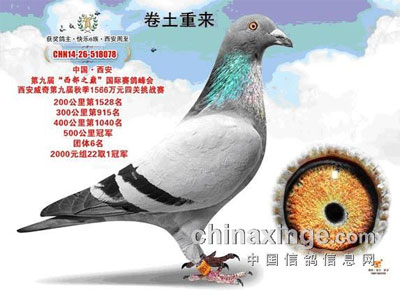 ����e�幫���������ָ�֮����(ͼ)
