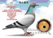 ����e�幫���������ָ�֮����(ͼ)