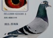 �񽱲���֧Ԯ�ˣ���л��������(ͼ)