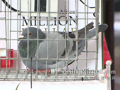 �Ϸǹ��ｱ��Ϊʲô��ô���ˣ�(ͼ)