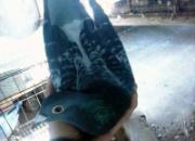 ���ֹ��£�3000Ԫ���������Ǿ�(ͼ)