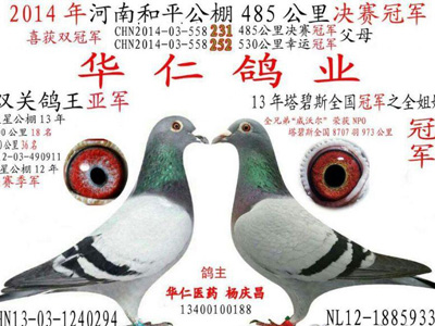 ����������򱧲�ƽ���ṫ��ھ�(ͼ)