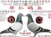 ����������򱧲�ƽ���ṫ��ھ�(ͼ)