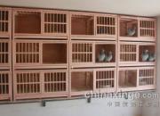 �����Ѷ��������(��Ƶ)