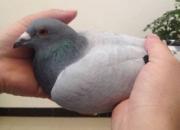 �������¡����ҡ��� �����ͳ�û��Ҫ(ͼ)