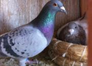 ������ġ������������(ͼ)