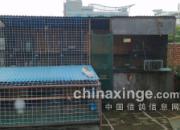 ����2014���������м���ͦ��(ͼ)