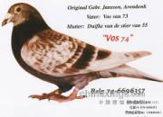 ����ղɭͼƬϵ��(16-35)