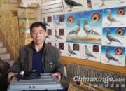 ��������������͵���̤��(ͼ)