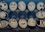 ˭�������룿�����Ѿ�����