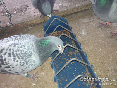 ������ķ��գ��Է��Ѿ�(ͼ)